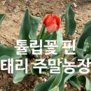 태리농장 이미지