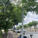 야탑테니스장 이미지