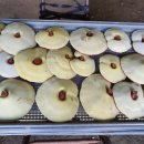 지금 장수농장 이미지