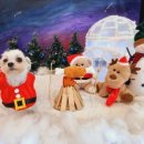 삐약네 새참 이미지