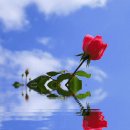 영락교회갈보리성가대 이미지