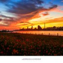 동해체육공원 이미지