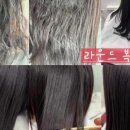 해르헤어