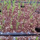 양달농장 이미지