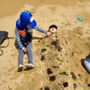 방죽포가든 이미지