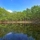 백수광부 이미지