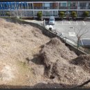 포항시북구88 이미지