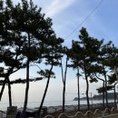카페도쎄