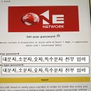 원네트워크 이미지