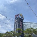 장수숯불닭갈비 | 화성 맛집 장수숯불닭갈비 화성점 내돈내산 평일 점심 찐 후기