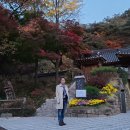 연세대학교 법무대학원 이미지