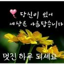 💖전라도 사투리로 쓴 사랑의 편지💖 이미지