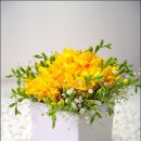 강릉제과제빵학원