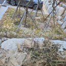 염포운동장 이미지