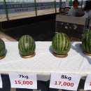 남창원농협 경제사업소 이미지