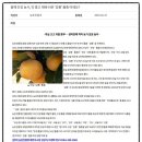 충청 축산 | 단감의 새바람!! 아삭하고 과즙이 풍부한 배단감 &#34;감풍단감&#34;