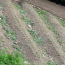 숲길농원 이미지