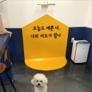 올리스24(세종점) 네이버블로그
