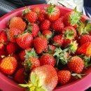 동방농장 이미지