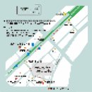 뚠띠빈티지 | 주간일기 2_(1)_첫 타투후기/오도어/강제휴식 and some other things.