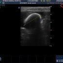 경희궁바른동물병원 이미지