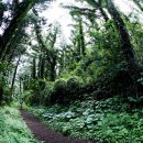 저지오름 이미지