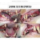 우리앤동물병원 이미지