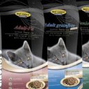 베스트 캣 이미지