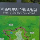 작은숲사귐