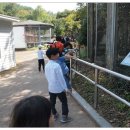 대지초등학교 이미지