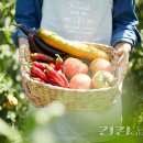 용산-432 이미지