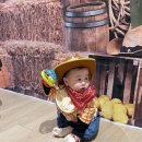 오감놀이4 | 동탄 이마트 트레이더스 컬처클럽 반짝반짝 오감놀이 (4-8개월) 후기