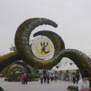 함평나비(광주) 이미지