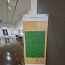 성균관대학교 유학대학원 | &lt;벽치광작(癖痴狂作) 수집과 컬렉션&gt;을 보고와서