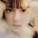 장아원 카카오 검색결과