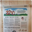 무암쑥뜸케어 | 부산쑥뜸/고질병도 치료해주는, 무암쑥뜸케어 부산동래본점