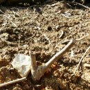 후인농장 이미지