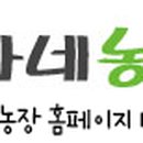 정가네농장 이미지