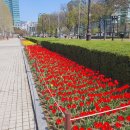 평촌중앙공원 이미지