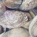 엄마수산 이미지