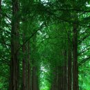 리오모텔 이미지