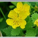 가을민박 이미지