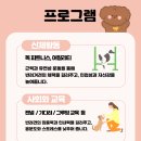 마인드몽 유치원 이미지