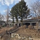 노루목 68 이미지