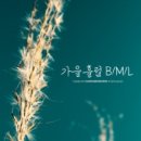 캘리폰트