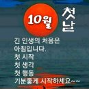 조금씩 쌀쌀해지는 바람이 기분좋은 10월의 첫날입니다. 이미지