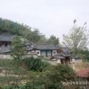 서천향교 Daum카페