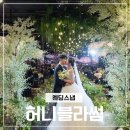 울산 본식스냅 허니블라썸 내돈내산 후기