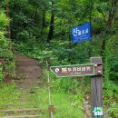 강릉솔향수목원 이미지