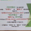 자인 행정사 이미지